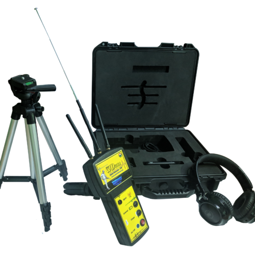 Professional - Survey