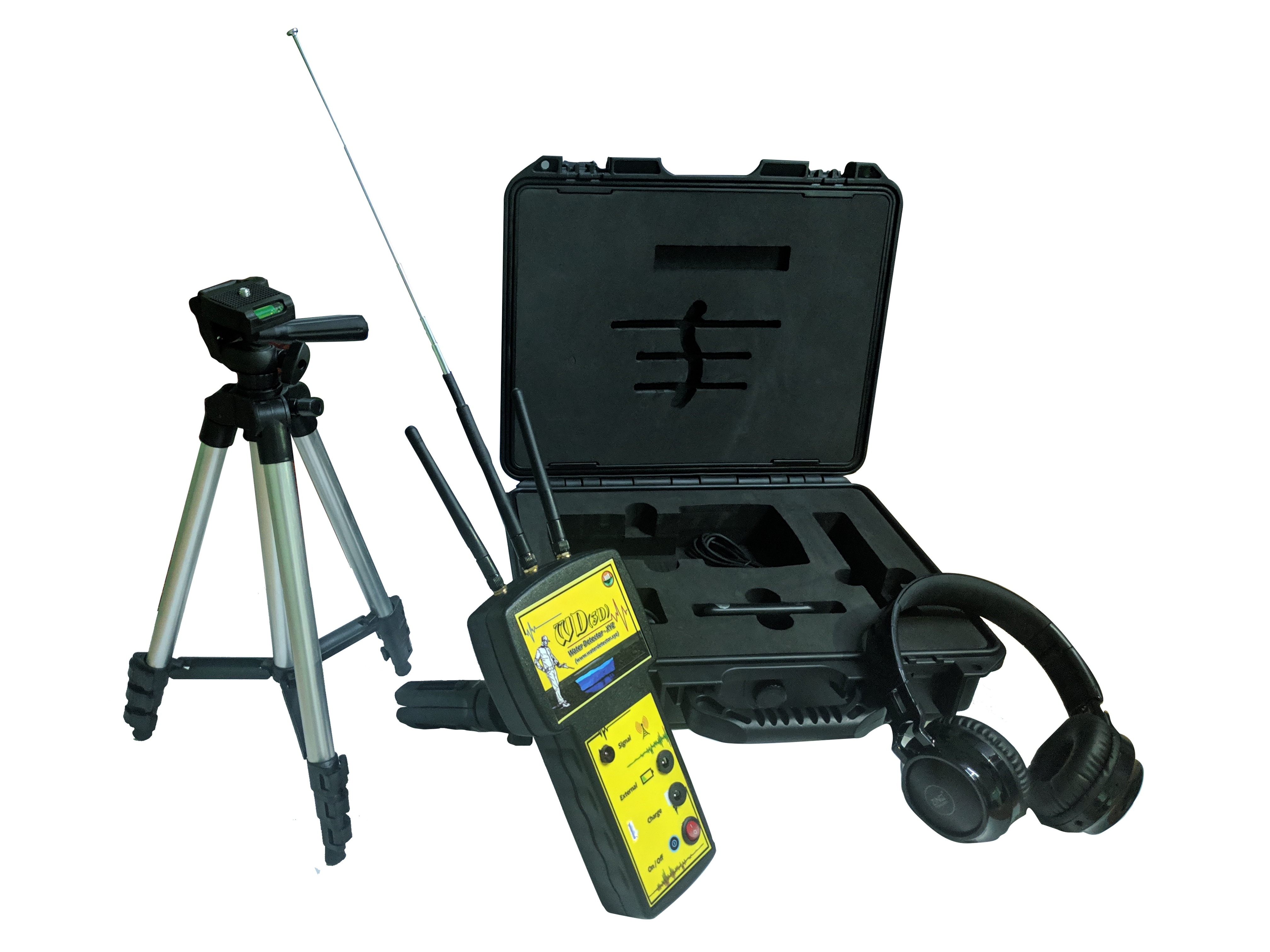 Professional - Survey